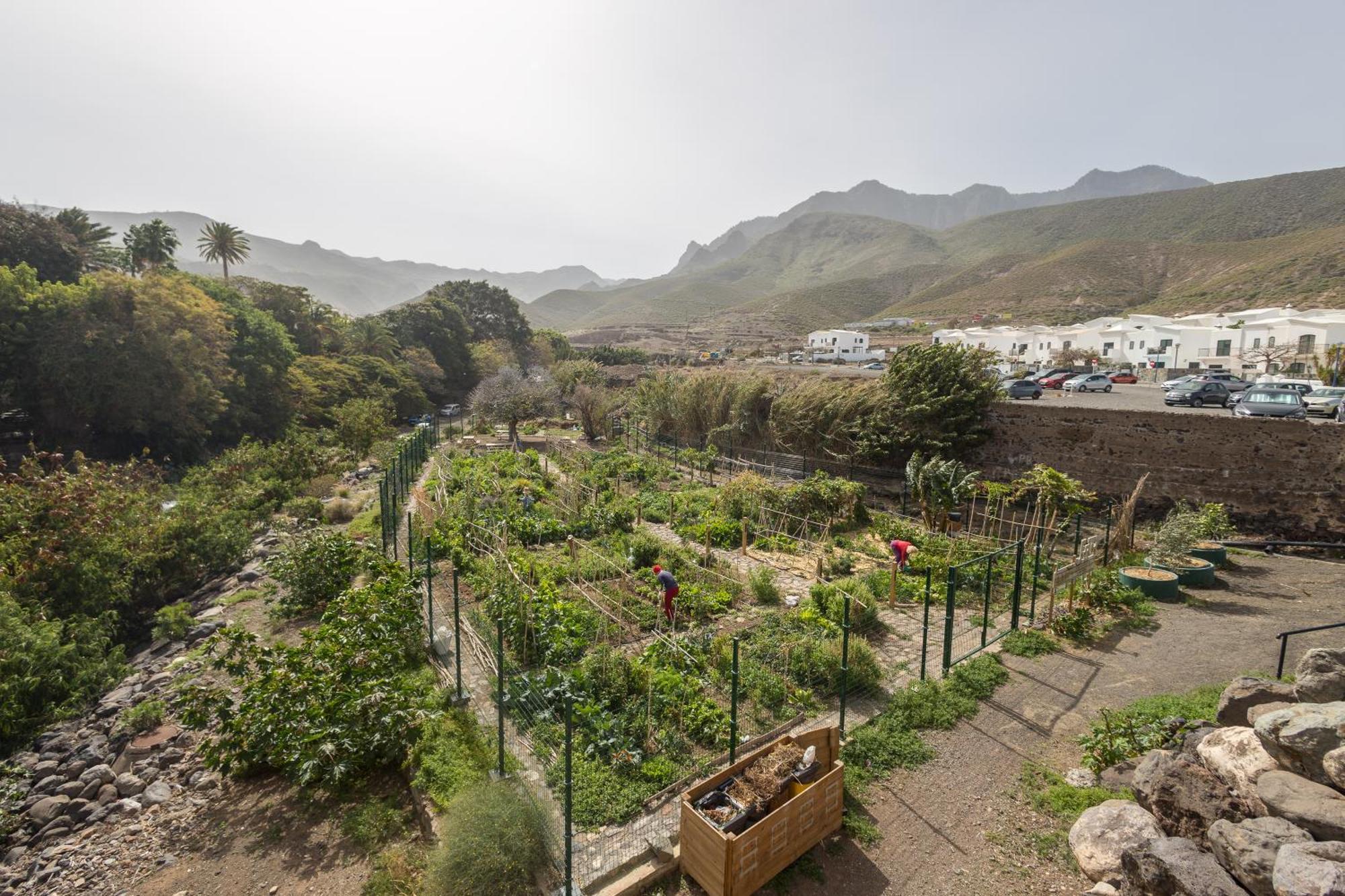 Casa Carmen Agaete Con Terraza Y Vistas Al Mar Villa Buitenkant foto