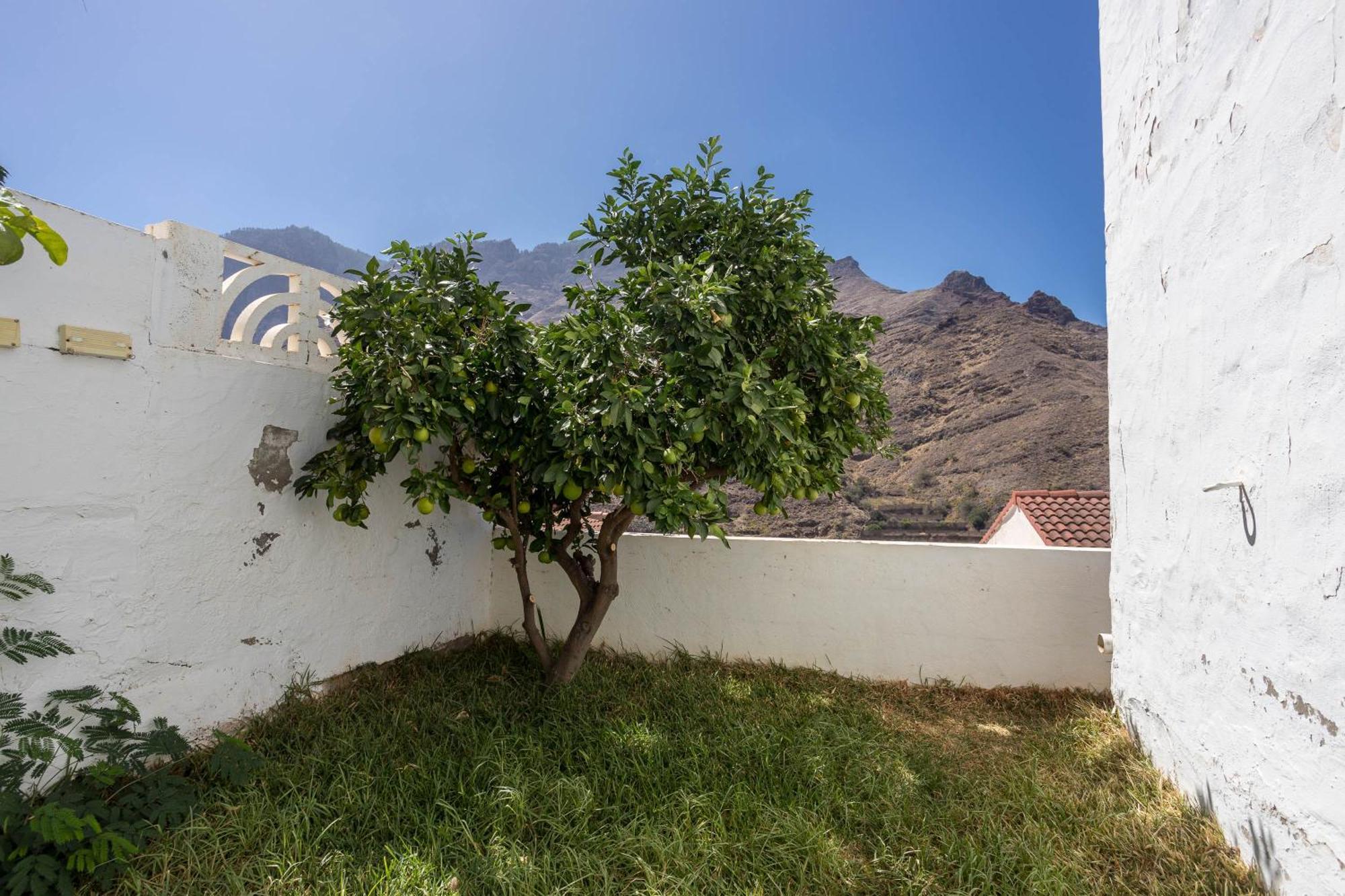 Casa Carmen Agaete Con Terraza Y Vistas Al Mar Villa Buitenkant foto